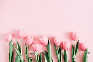 Rosa blomster-min rosa tulipaner i stuen