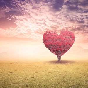 Generel viden om healing